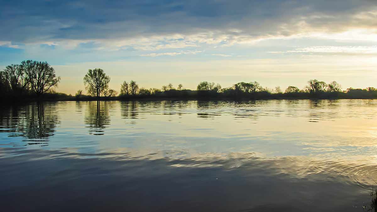 Nutrinkime sterkui nugarą. Pirma dalis Nutrinkime sterkui nugarą. Pirma dalis