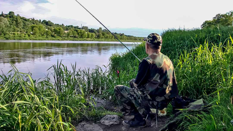 Kaip prisivilioti „nuosavą“ karšį. Jaukai, jaukinimo taktika ir masalai Kaip prisivilioti „nuosavą“ karšį. Jaukai, jaukinimo taktika ir masalai