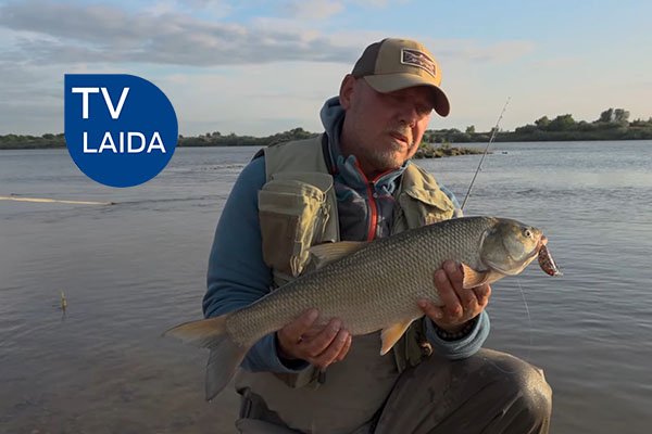 Didieji Nemuno dambų Šapalai Didieji Nemuno dambų Šapalai