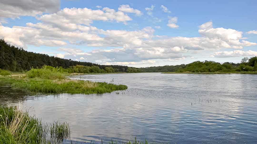 Karosai vietoje žiobrių Karosai vietoje žiobrių