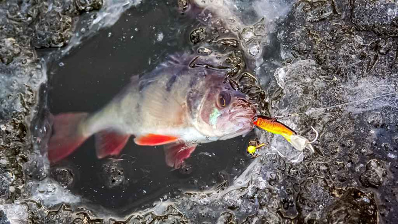 Užtemdyti eketę ar ne? Antra dalis