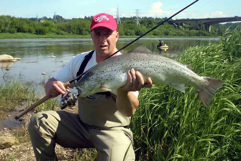 Suvynioti valą paprasta? Nepasakyčiau...