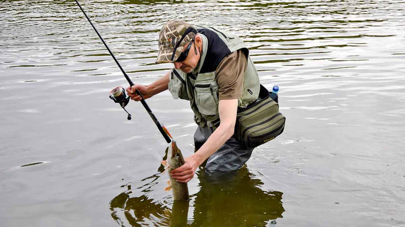 Palydekaukim... Pirma dalis