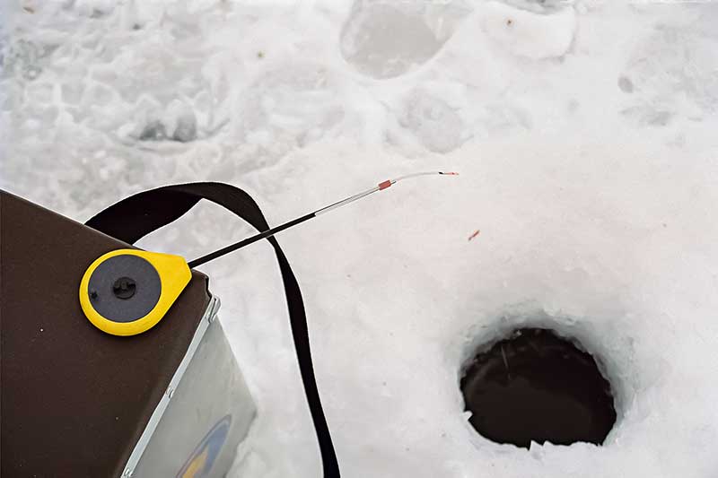 Smagiausia poledinė žūklė. Kaip sumeškerioti aukšlę