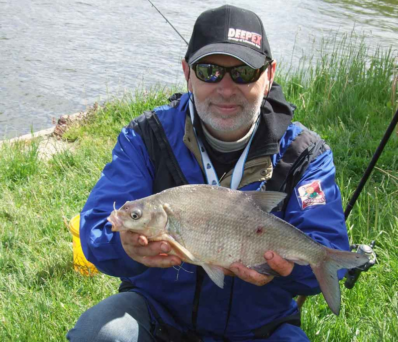 Karšis Karšis