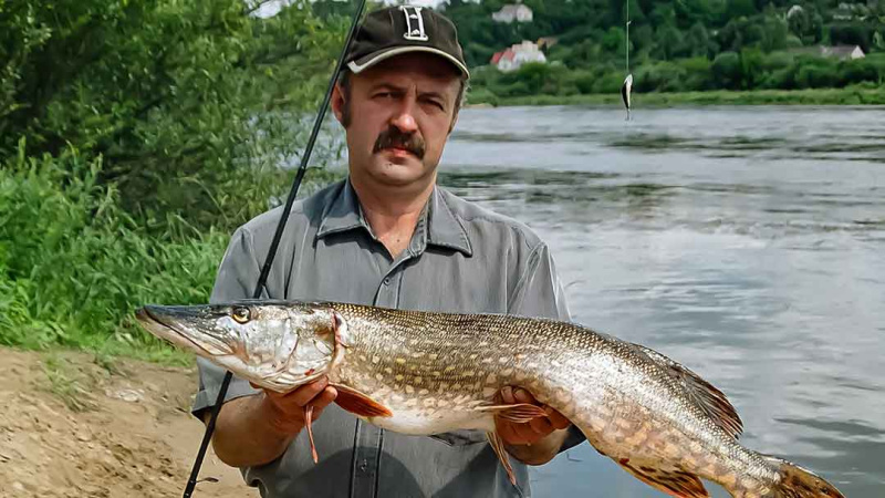 Upė ir lydekos. Toli nuo kranto Upė ir lydekos. Toli nuo kranto