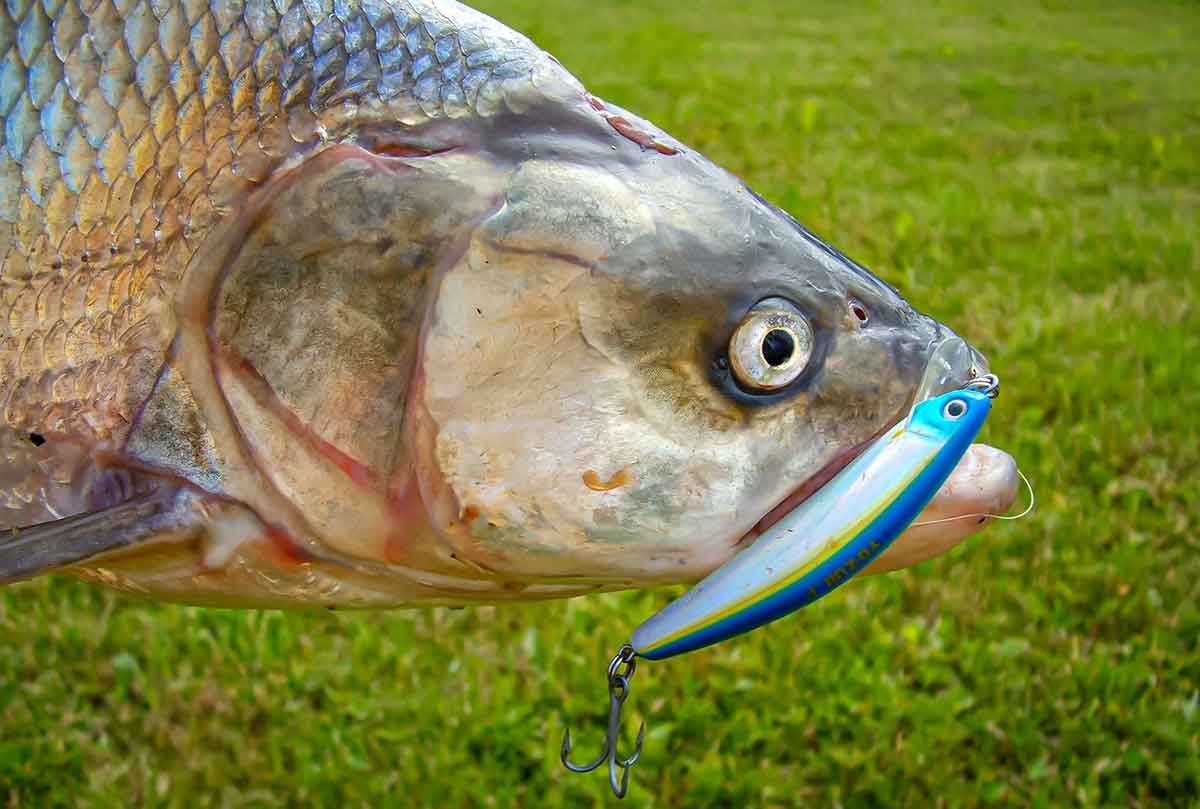 Bendrai apie fluorokarboną ir išskirtinai apie Seaguar Bendrai apie fluorokarboną ir išskirtinai apie Seaguar