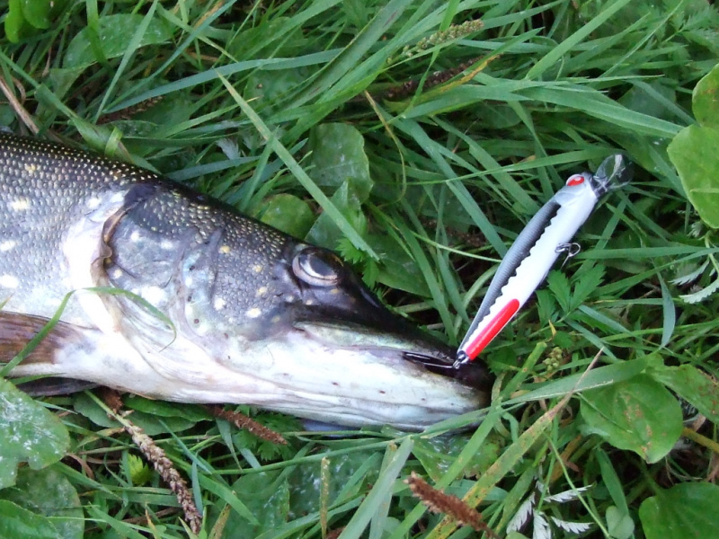 KAIP IŠSIRINKTI VOBLERĮ?