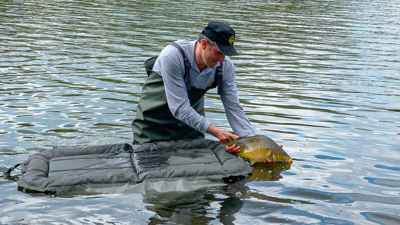 Karpių gaudymo vingrybės. Apie vandens telkinius ir temperatūrą