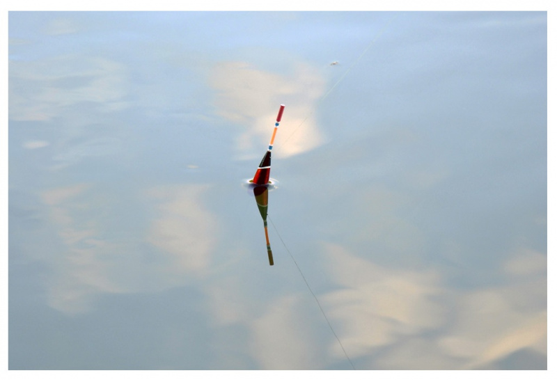 Kai žuvys nekimba – padeda kvietys