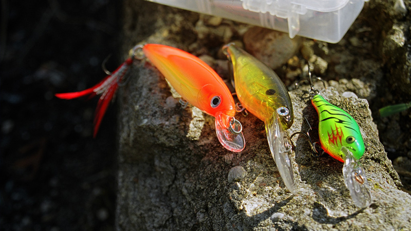 Ilgaliežuviai crank