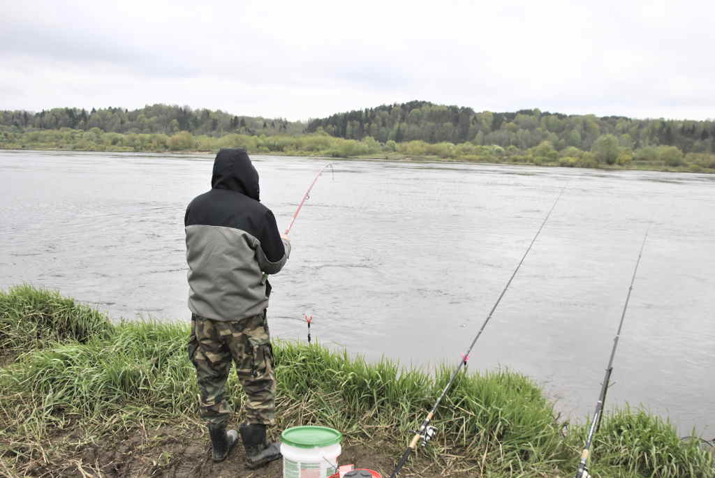 Kodėl kartais žuvys gerai kimba, o kartais ne