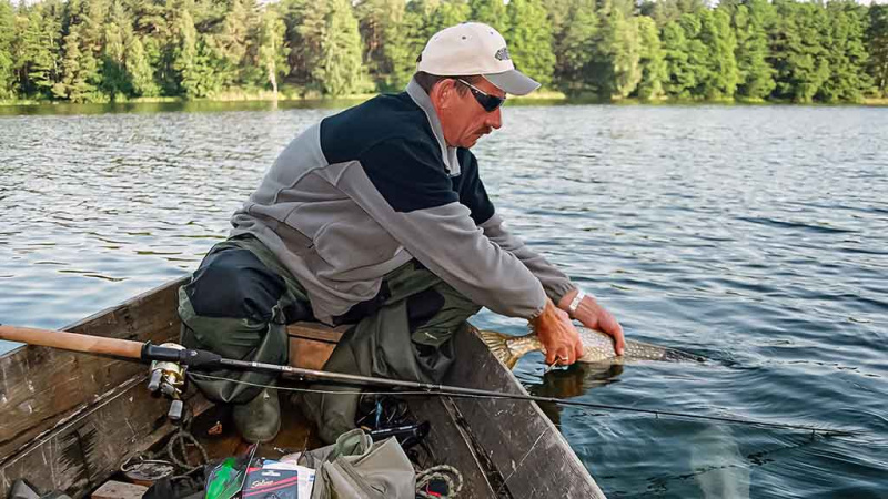 Kai šalna nubalina ežerų pakrantes. Geriausi masalai lydekoms Kai šalna nubalina ežerų pakrantes. Geriausi masalai lydekoms