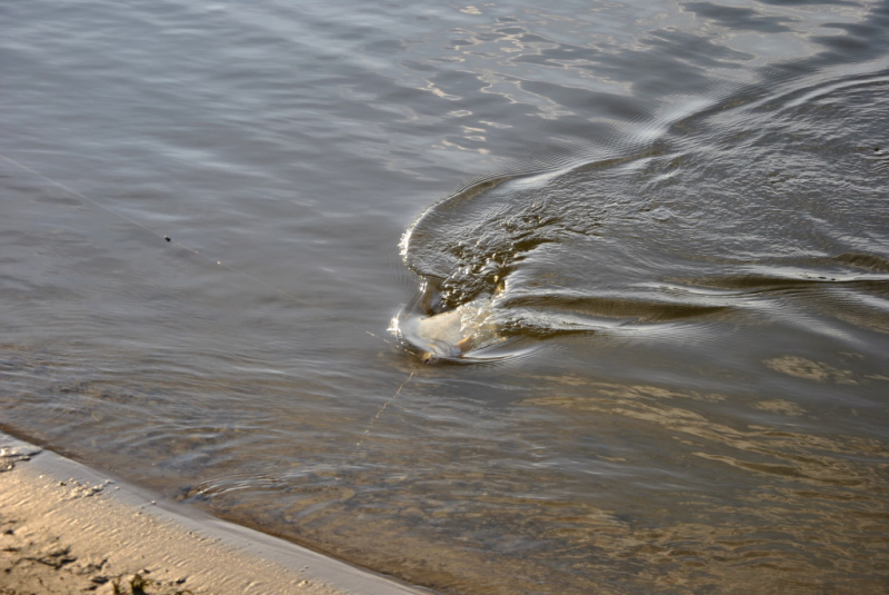 Žūklė dugnine upėje. Pavadėliai