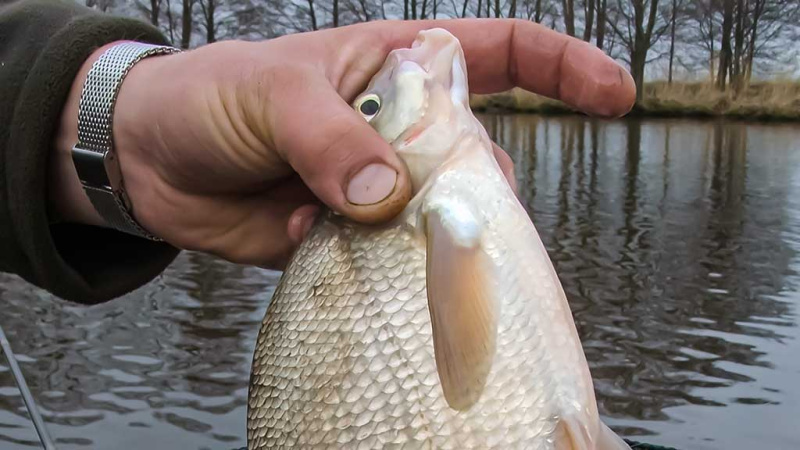 Karšių – į Nemuno žemupį. Pirma dalis Karšių – į Nemuno žemupį. Pirma dalis
