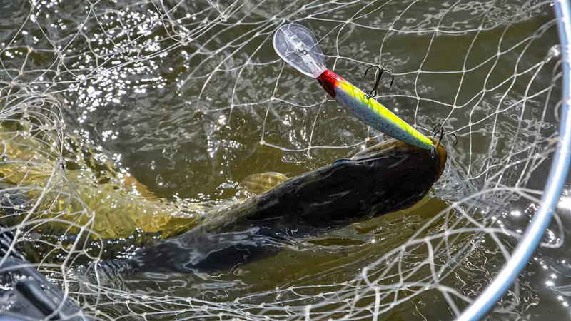 Velkiavimas. Prieš srovę, pasroviui...