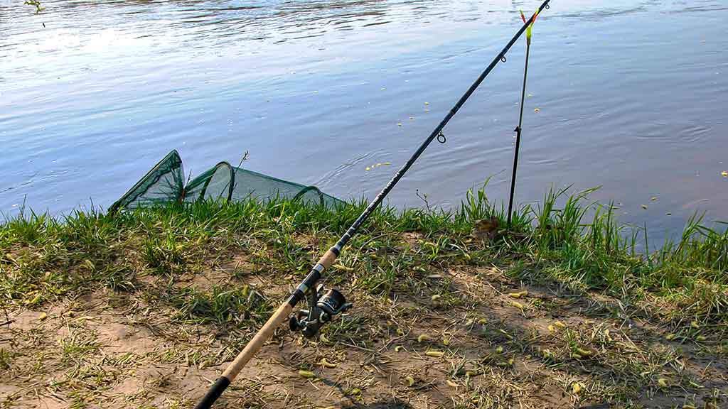 Geriausi kabliukai žiobrių žūklei