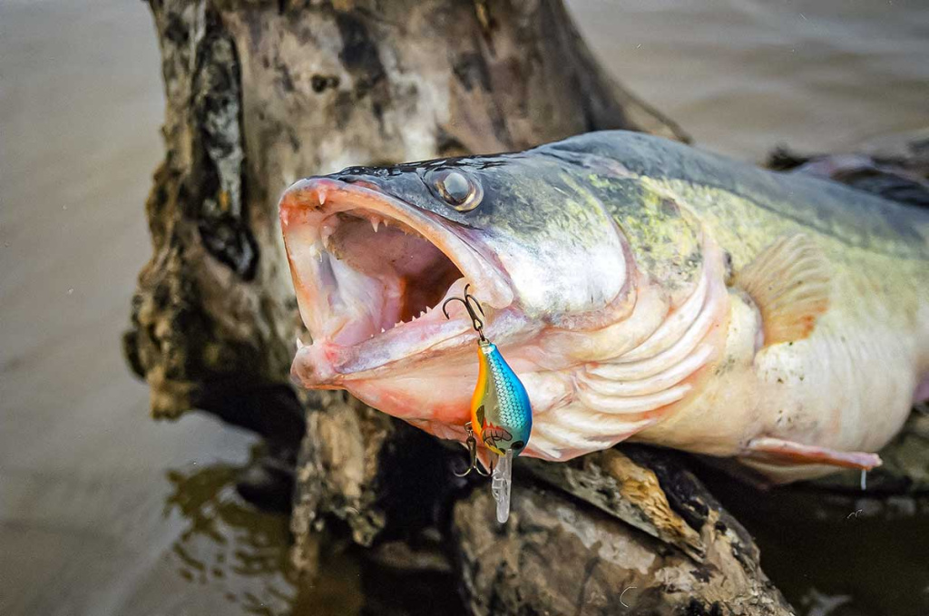 Apie saulę, vėją ir lietų. Pirma dalis