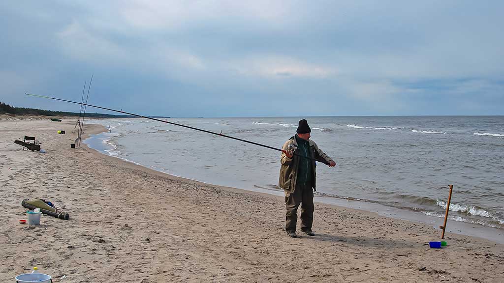 Kaip pagauti Baltijos plekšnę. Kada geriausiai žvejoti jūroje Kaip pagauti Baltijos plekšnę. Kada geriausiai žvejoti jūroje