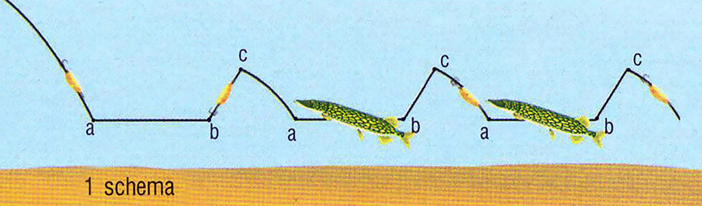 Kaip animuoti vartiklėmis? Kaip animuoti vartiklėmis?