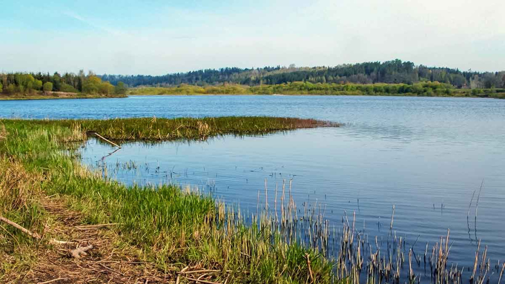 Apie nepilnametes, mikromasalus ir striptizą. Pirma dalis Apie nepilnametes, mikromasalus ir striptizą. Pirma dalis