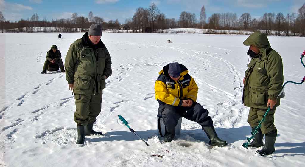 Avižėlė ir jos spalvos Avižėlė ir jos spalvos