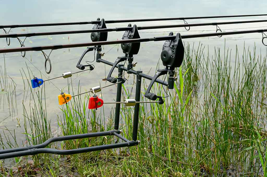Kaip pagauti Nemune karpį. Žūklės taktika, įranga ir visa kita
