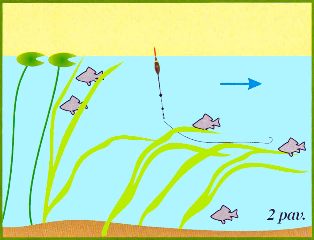 Iš žolių tankynės. Antra dalis Iš žolių tankynės. Antra dalis