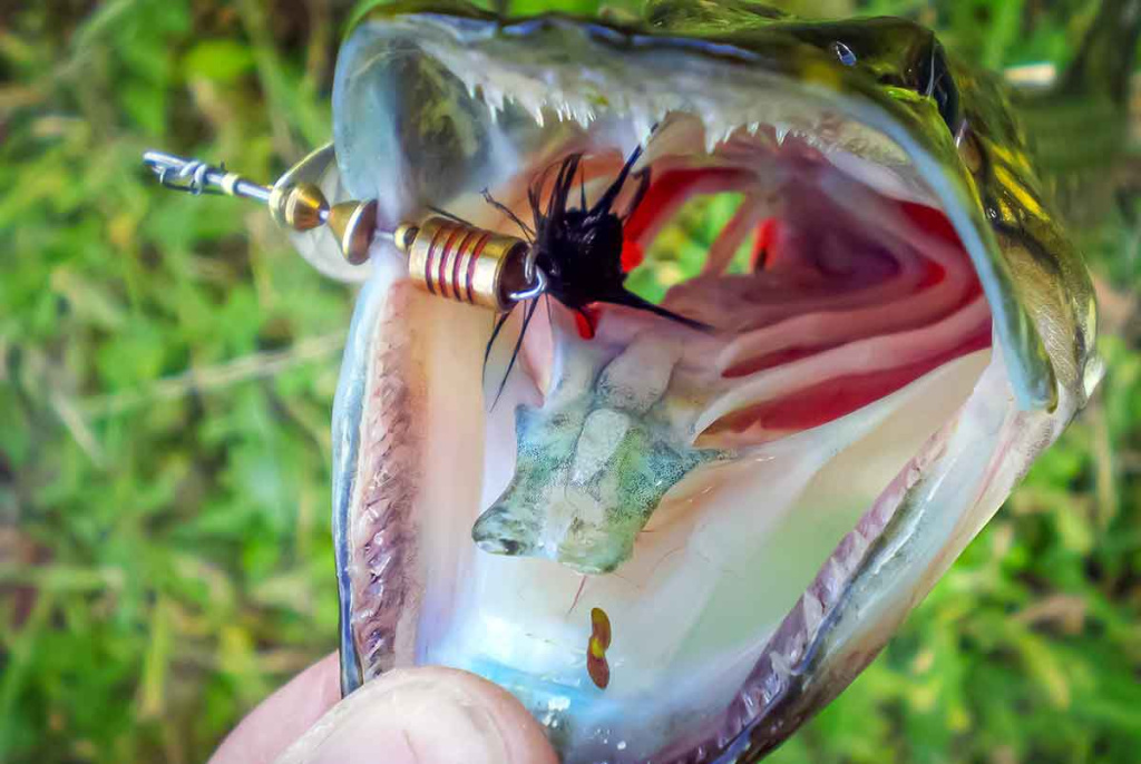 Nepailstanti žuvų viliotoja. 2 dalis