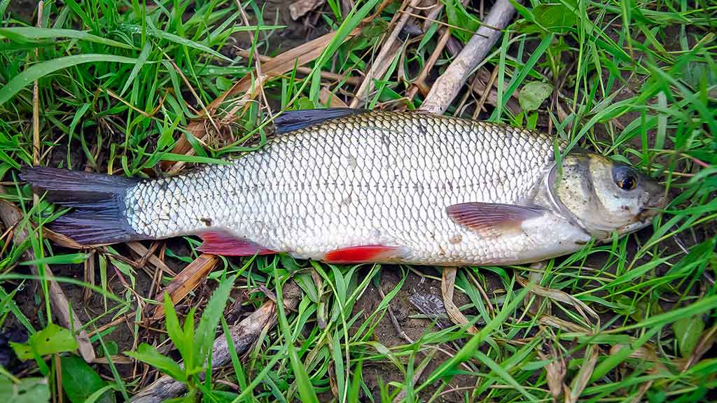 Išgyventi iki vakaro. Antra dalis Išgyventi iki vakaro. Antra dalis