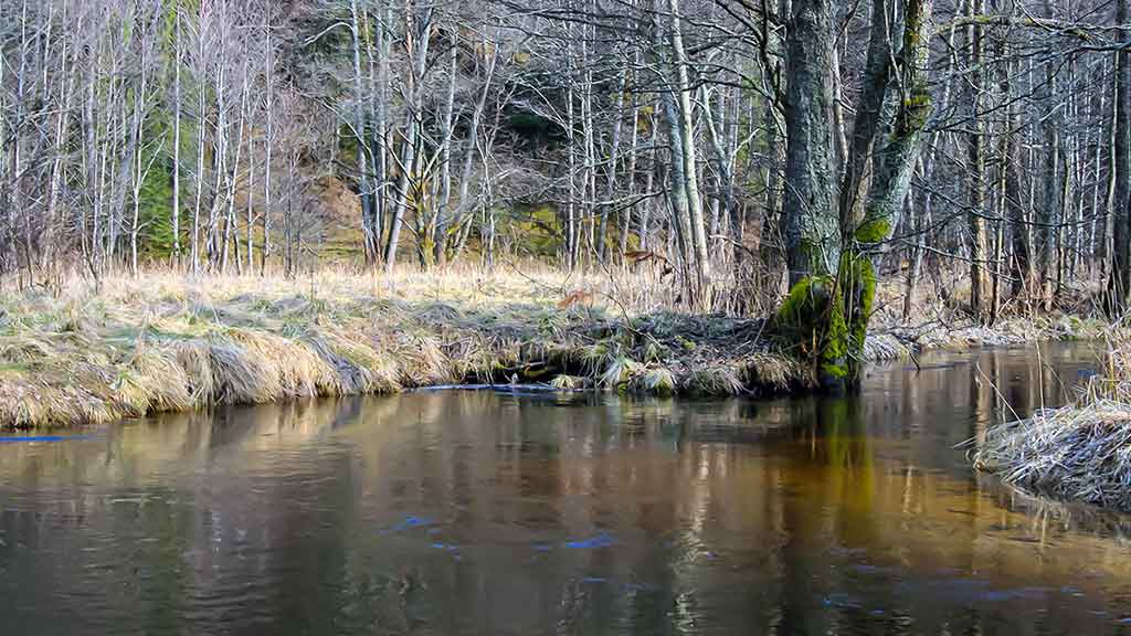 Upėtakių gaudymas sukriukėmis. Pavasario pradžia ir vidurys Upėtakių gaudymas sukriukėmis. Pavasario pradžia ir vidurys