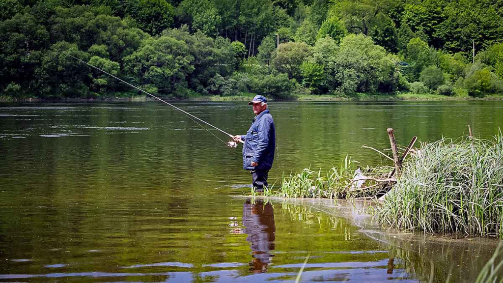 Primirštas geras masalas. Antra dalis Primirštas geras masalas. Antra dalis