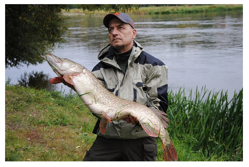 Romualdas Žilinskas