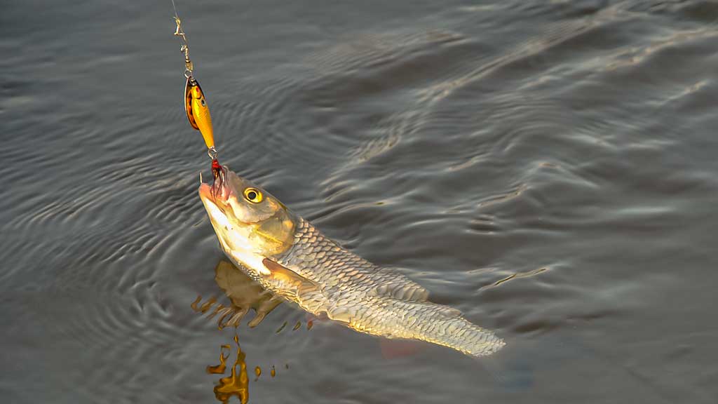 Kaip sukriukę nusviesti iki kito kranto. Antra dalis Kaip sukriukę nusviesti iki kito kranto. Antra dalis