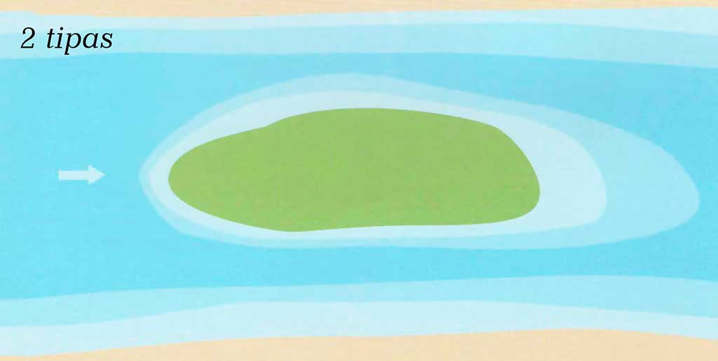 2 tipo salos 2 tipo salos