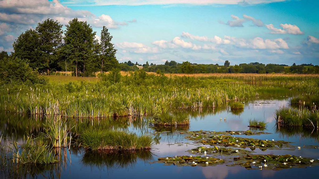 Brėkštančio ryto žuvys. Antra dalis Brėkštančio ryto žuvys. Antra dalis