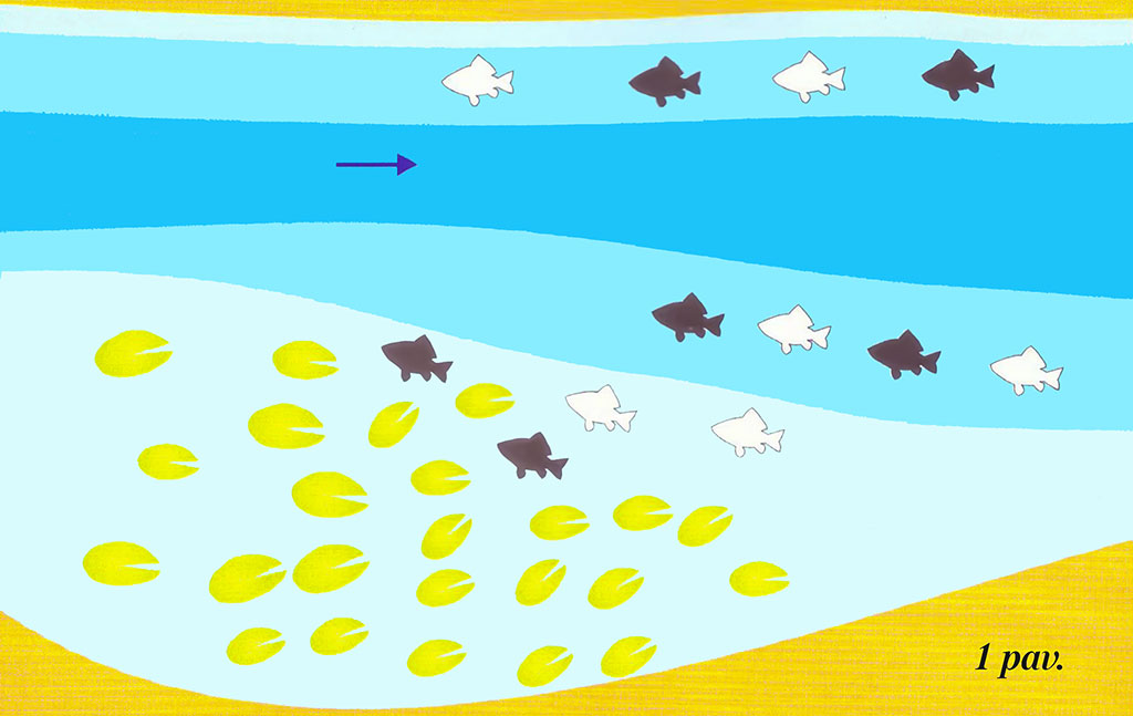 Karosus – dugnine meškere. Pirma dalis Karosus – dugnine meškere. Pirma dalis