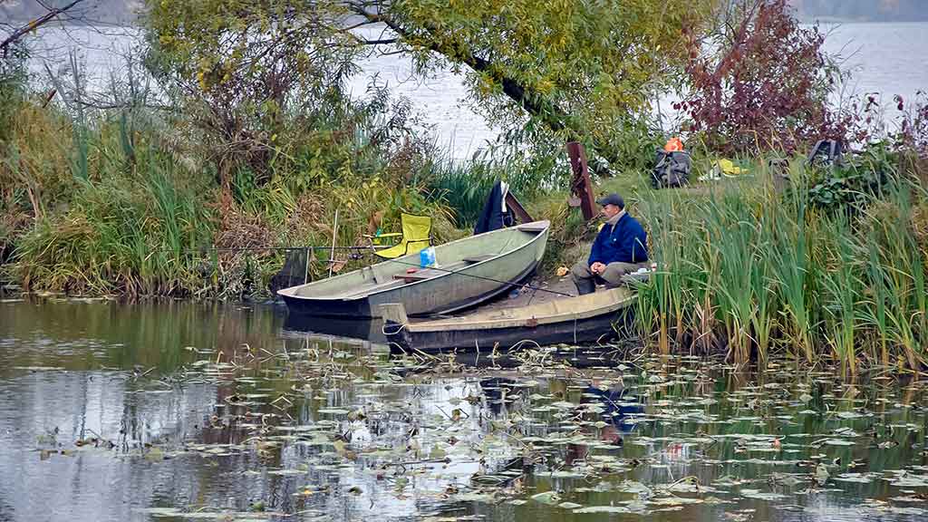 Kiekvienoje baloje savos taisyklės. Trečia dalis Kiekvienoje baloje savos taisyklės. Trečia dalis
