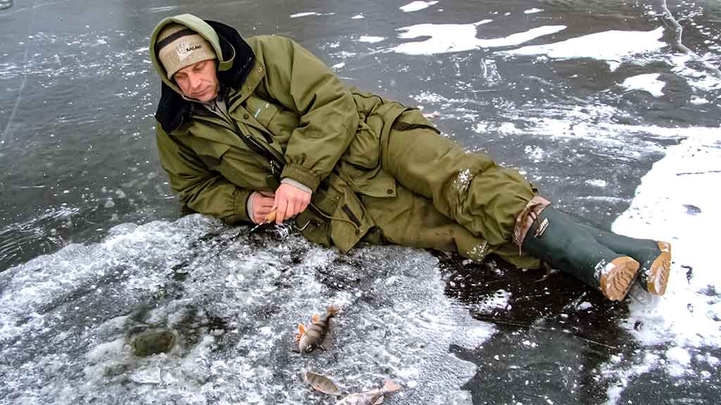 Apie žemaitiškų ešerių rojų Apie žemaitiškų ešerių rojų