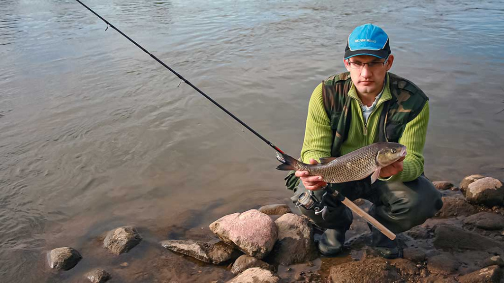 Kai šapalautojai žegnojasi. Įranga Kai šapalautojai žegnojasi. Įranga