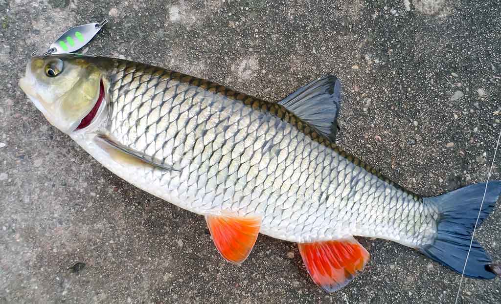 Klasika tapęs metalo gabalėlis. Antra dalis