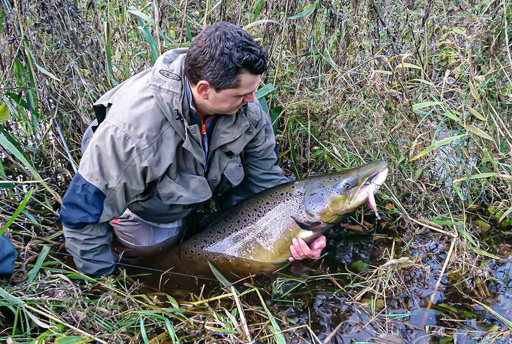 Ežerinio sterko paslaptis. Antra dalis
