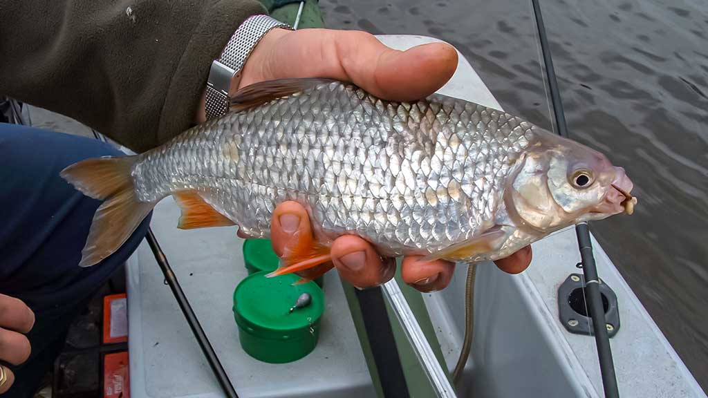 Upaitis ir Aukštumalė iš arčiau Upaitis ir Aukštumalė iš arčiau