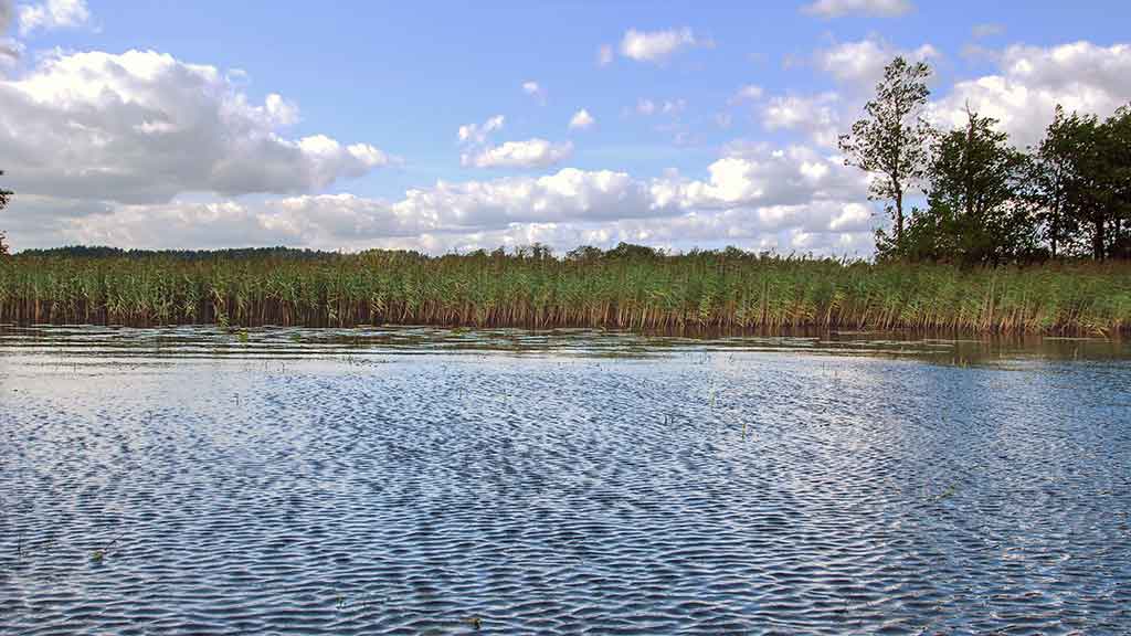 Spiningavimas topvoteriais. Trečia dalis Spiningavimas topvoteriais. Trečia dalis