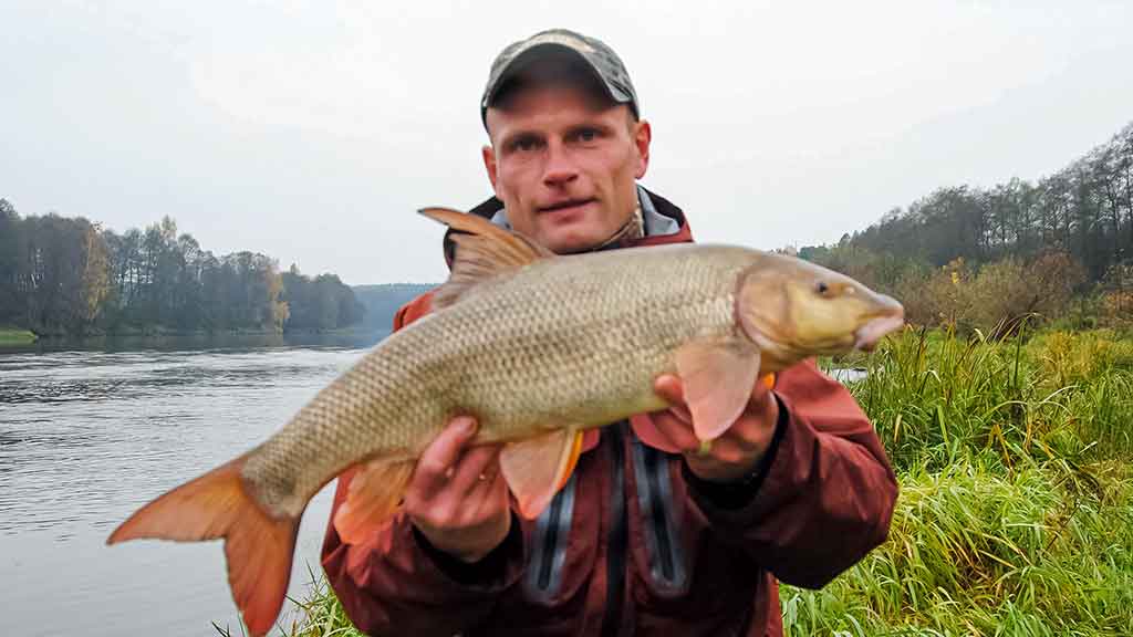Nugalėtojas būna tik vienas. Antra dalis Nugalėtojas būna tik vienas. Antra dalis