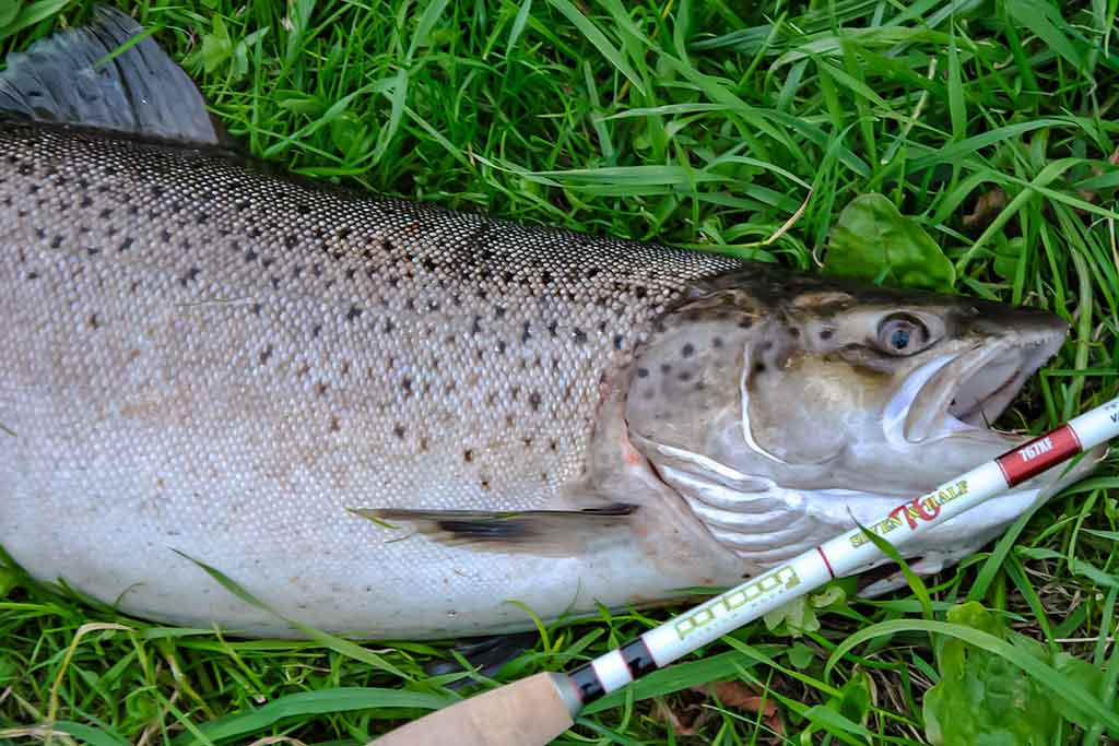 Ar sunku išmokti spiningauti? Pirma dalis Ar sunku išmokti spiningauti? Pirma dalis