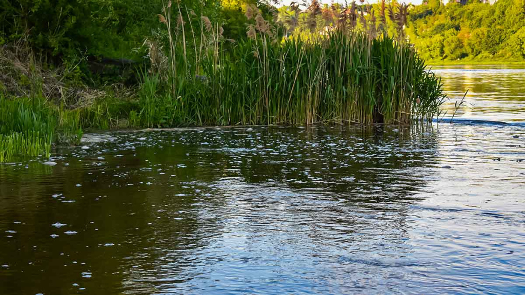 Apie atviras akis, šutintus žirnius, spiningavimą ir būsimą tvaną Apie atviras akis, šutintus žirnius, spiningavimą ir būsimą tvaną