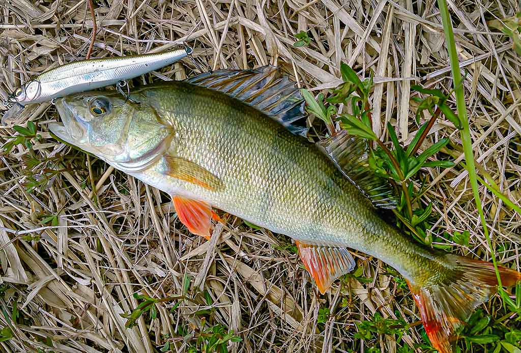 Vobleriniai niuansai