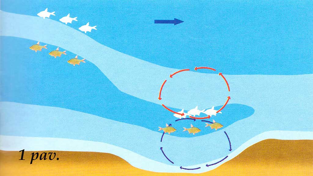 Didžiųjų upių plakiai. Pirma dalis Didžiųjų upių plakiai. Pirma dalis