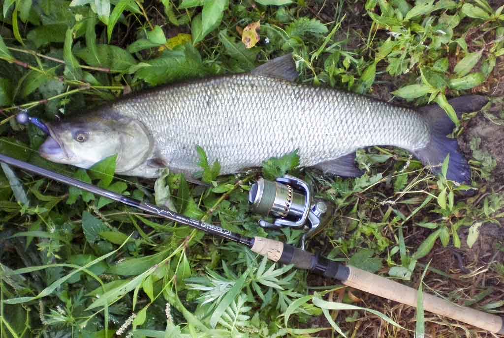 Ar patinka silikonas salačiams? Antra dalis